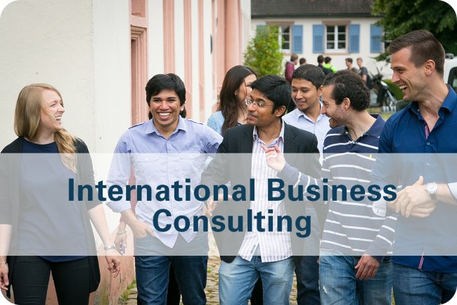 Application International Business Consulting