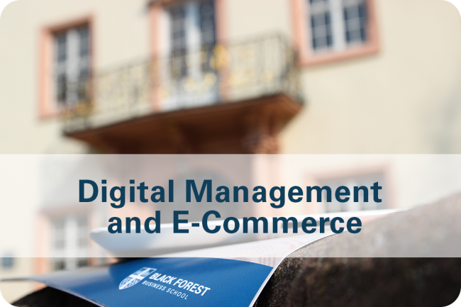 Application MBA Digital Management and E-Commerce